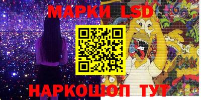 шишки Новодвинск