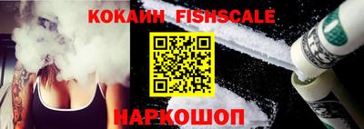 шишки Новодвинск