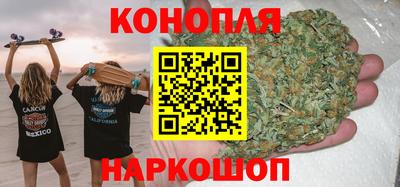 шишки Новодвинск