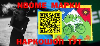 шишки Новодвинск