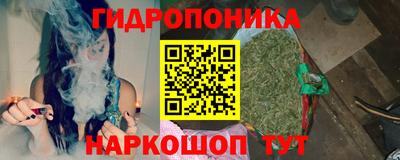 шишки Новодвинск