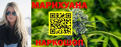 шишки Новодвинск