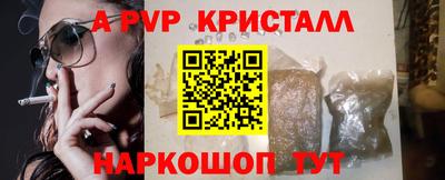 шишки Новодвинск
