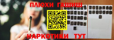 шишки Новодвинск