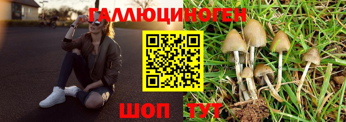 Галлюциногенные грибы мухоморы  Вход с VPN  Реж 